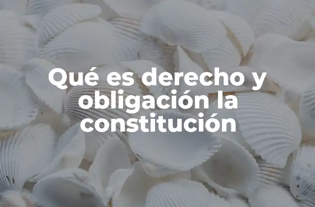 Qué es Derecho y Obligación la Constitución