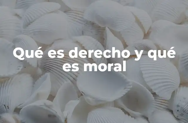 Qué es Derecho y Qué es Moral