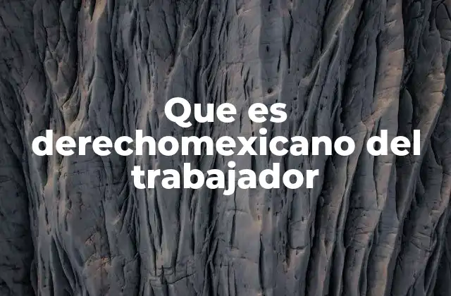 Que es Derechomexicano Del Trabajador