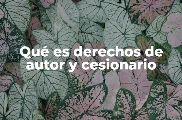 Qué es Derechos de Autor y Cesionario