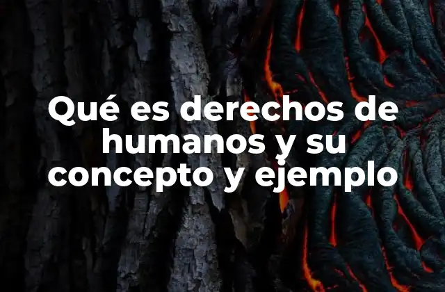 Qué es Derechos de Humanos y Su Concepto y Ejemplo
