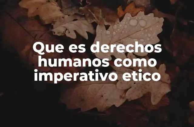 Que es Derechos Humanos como Imperativo Etico