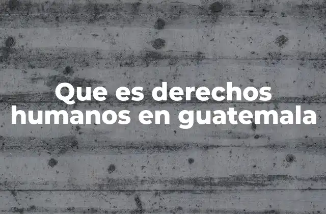 El papel de las instituciones en la protección de los derechos humanos