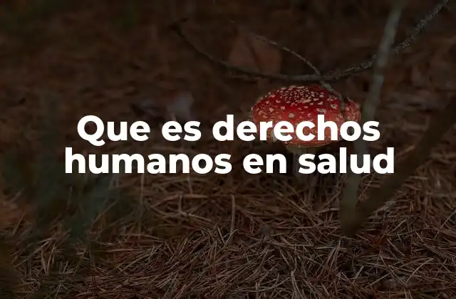 Que es Derechos Humanos en Salud