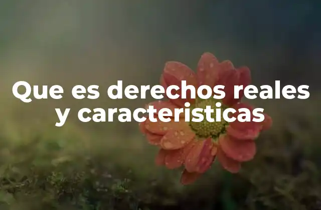 Que es Derechos Reales y Caracteristicas