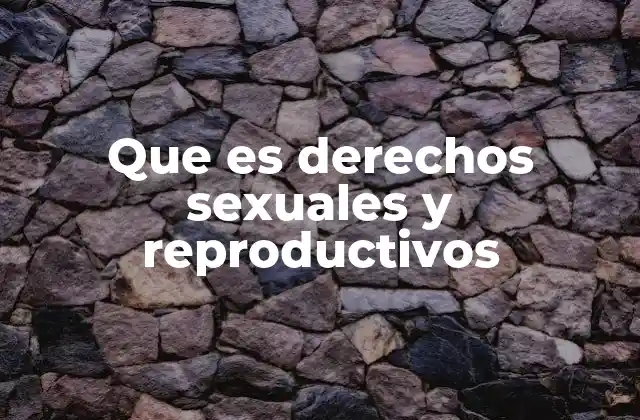 Que es Derechos Sexuales y Reproductivos