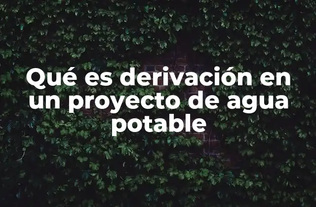 El rol de la derivación en el diseño hidráulico de proyectos de agua potable