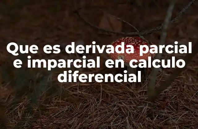 Que es Derivada Parcial e Imparcial en Calculo Diferencial