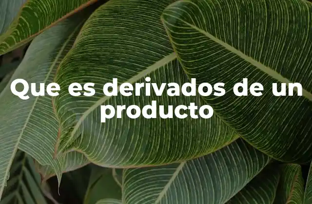 Que es Derivados de un Producto