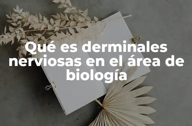 Qué es Derminales Nerviosas en el Área de Biología