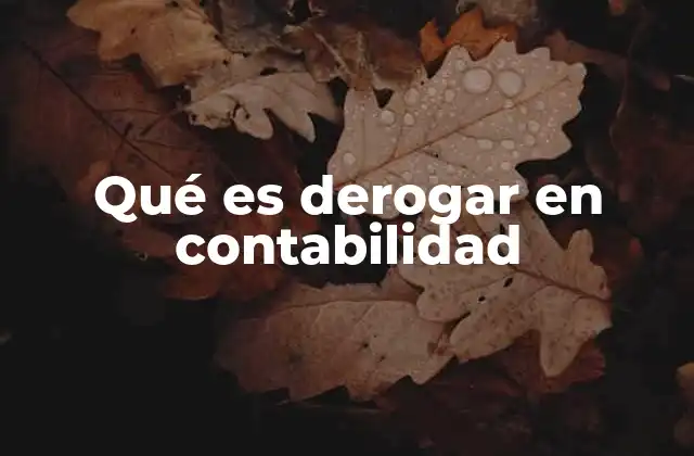 Qué es Derogar en Contabilidad