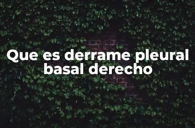 Que es Derrame Pleural Basal Derecho