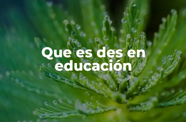 Que es Des en Educación 2 El rol de las expectativas de aprendizaje en el aula