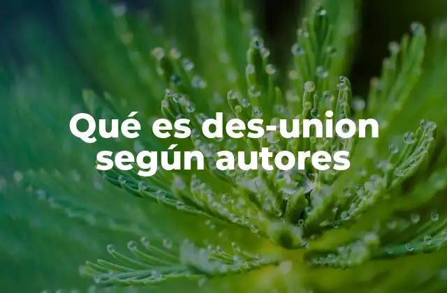 Qué es Des-union según Autores