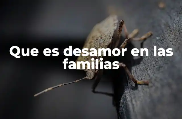 Que es Desamor en las Familias