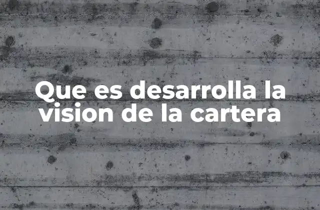 Que es Desarrolla la Vision de la Cartera