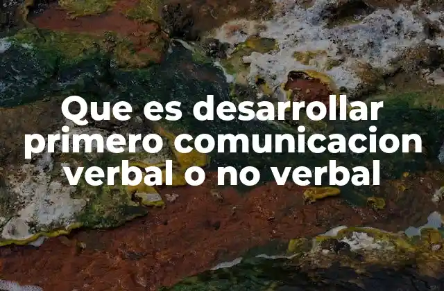 Que es Desarrollar Primero Comunicacion Verbal o No Verbal