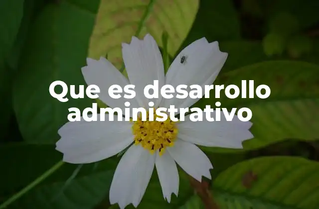 Que es Desarrollo Administrativo