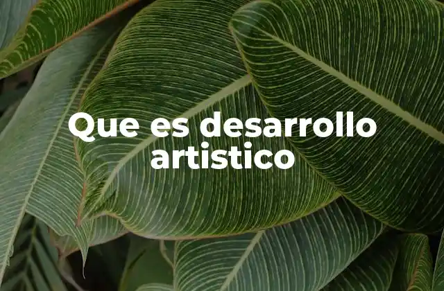 Que es Desarrollo Artistico