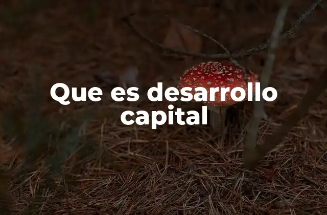 Que es Desarrollo Capital
