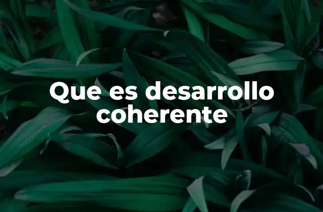 Que es Desarrollo Coherente