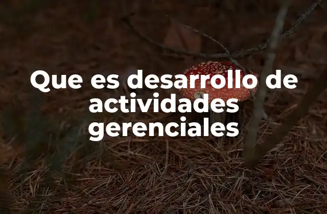 Que es Desarrollo de Actividades Gerenciales