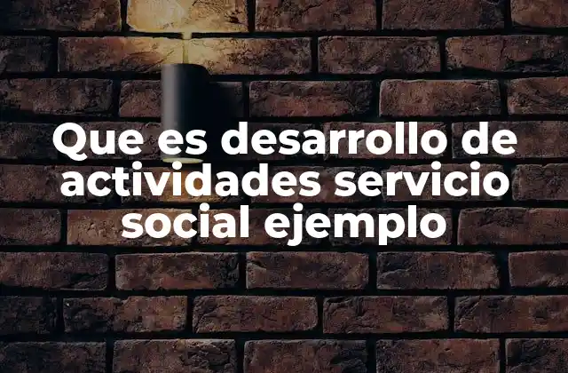 Que es Desarrollo de Actividades Servicio Social Ejemplo