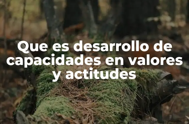 Que es Desarrollo de Capacidades en Valores y Actitudes