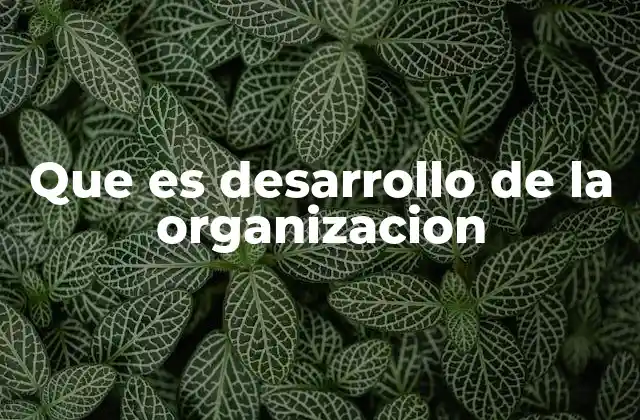 Que es Desarrollo de la Organizacion