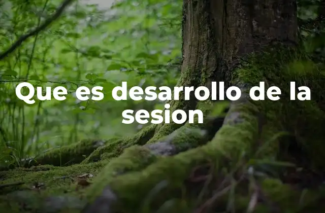 Que es Desarrollo de la Sesion