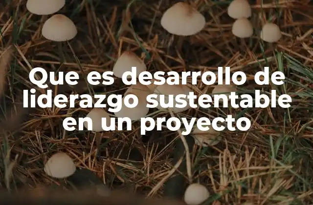 El impacto del liderazgo en la sostenibilidad organizacional