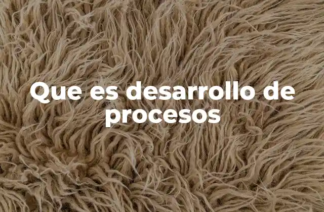 Que es Desarrollo de Procesos