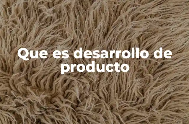 Que es Desarrollo de Producto