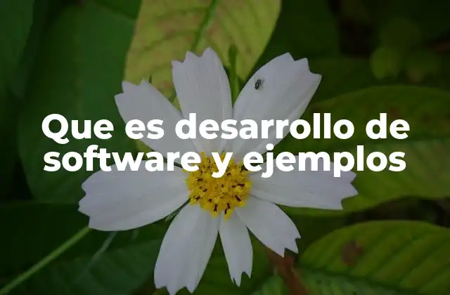Que es Desarrollo de Software y Ejemplos