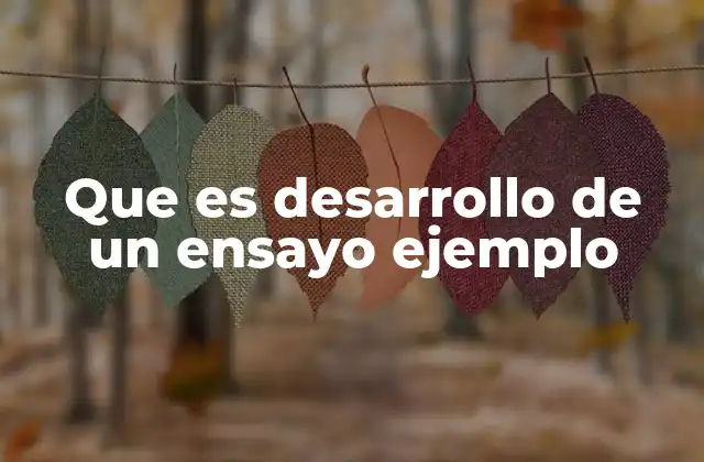 Que es Desarrollo de un Ensayo Ejemplo
