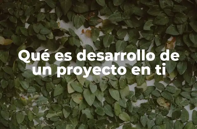 Qué es Desarrollo de un Proyecto en Ti