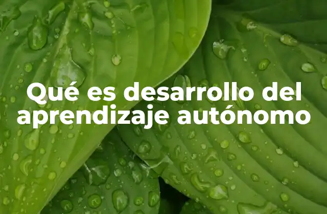 Qué es Desarrollo Del Aprendizaje Autónomo