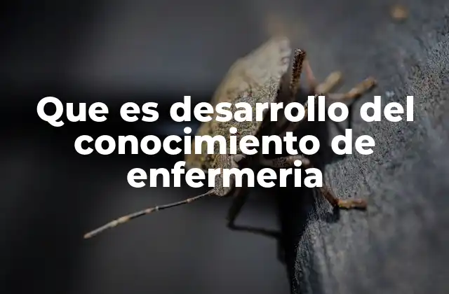 Que es Desarrollo Del Conocimiento de Enfermeria 2 Cómo la enfermería se transforma con el desarrollo del conocimiento