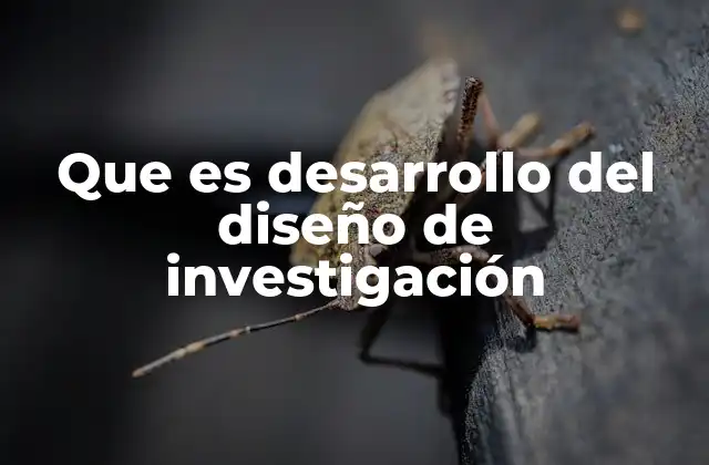 Que es Desarrollo Del Diseño de Investigación