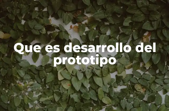 Que es Desarrollo Del Prototipo 2 El papel del prototipo en el proceso de diseño