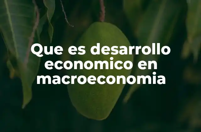 Que es Desarrollo Economico en Macroeconomia