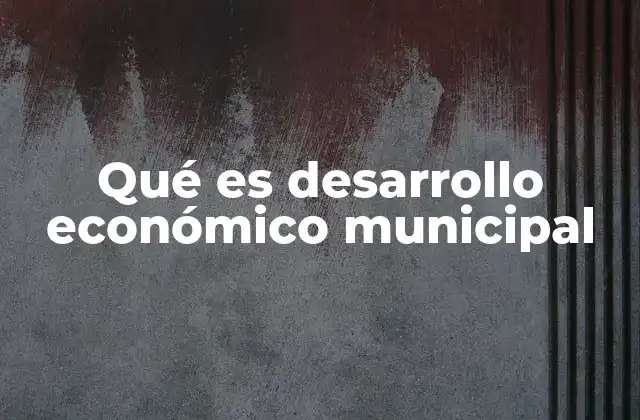 Qué es Desarrollo Económico Municipal