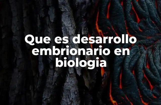 Que es Desarrollo Embrionario en Biologia