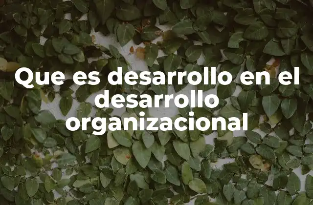 Que es Desarrollo en el Desarrollo Organizacional