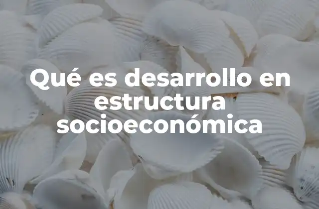 Qué es Desarrollo en Estructura Socioeconómica