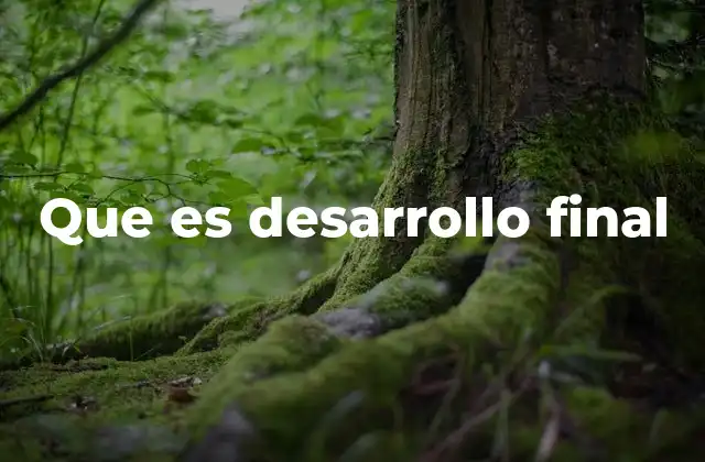 Que es Desarrollo Final