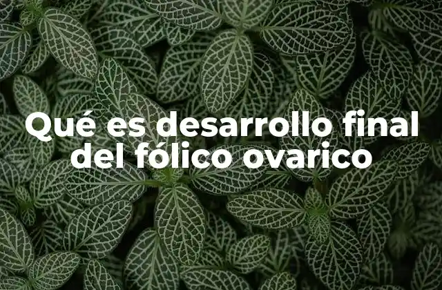 El rol del folículo en la reproducción femenina