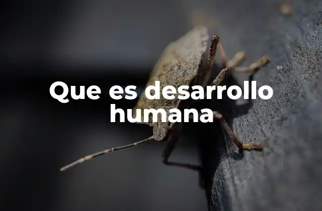 Que es Desarrollo Humana