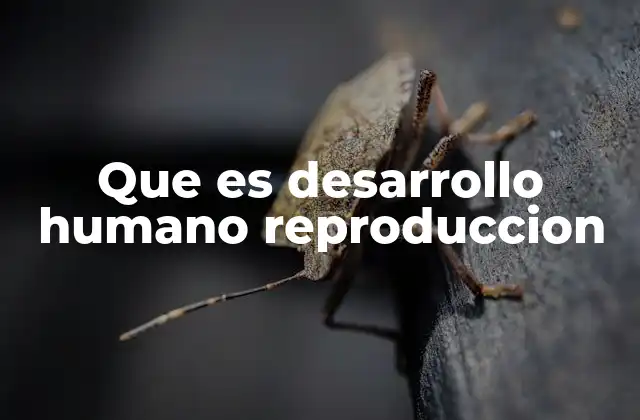 Que es Desarrollo Humano Reproduccion