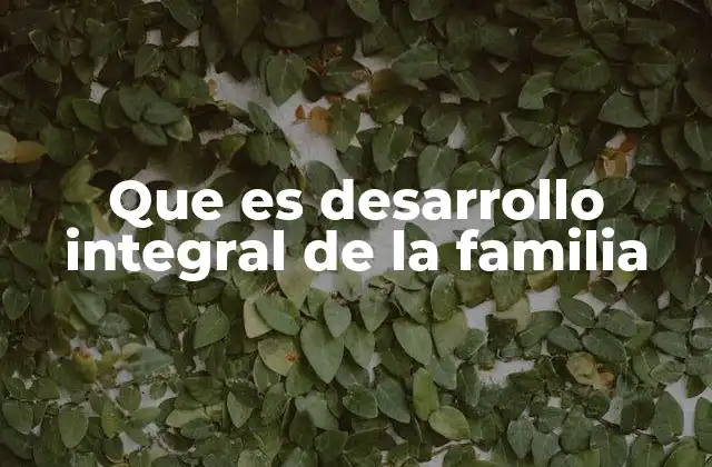 Que es Desarrollo Integral de la Familia 2 La importancia de abordar el bienestar familiar desde una perspectiva integral